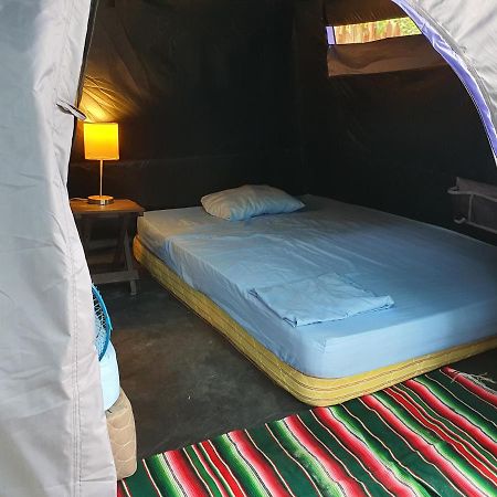 Camping Del Ritmo & Kite Club Hotell El Cuyo Exteriör bild